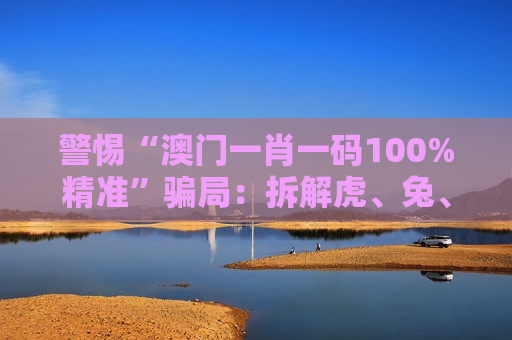 警惕“澳门一肖一码100%精准”骗局：拆解虎、兔、龙、蛇+03-12-25-31-40-47:T22诱饵背后的诈骗套路