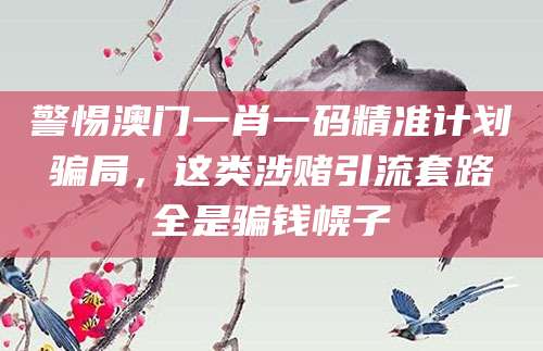 警惕澳门一肖一码精准计划骗局，这类涉赌引流套路全是骗钱幌子